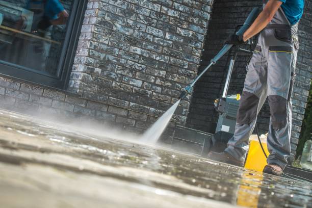 Best Solar Panel Cleaning  in Williams, OR