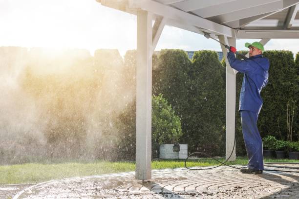 Best Soft Washing  in Williams, OR