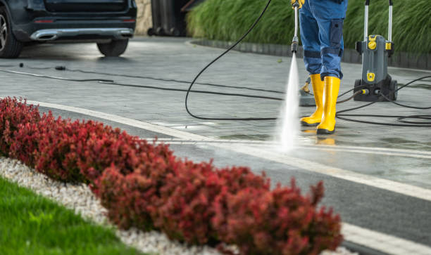 Best Dumpster Area Cleaning  in Williams, OR